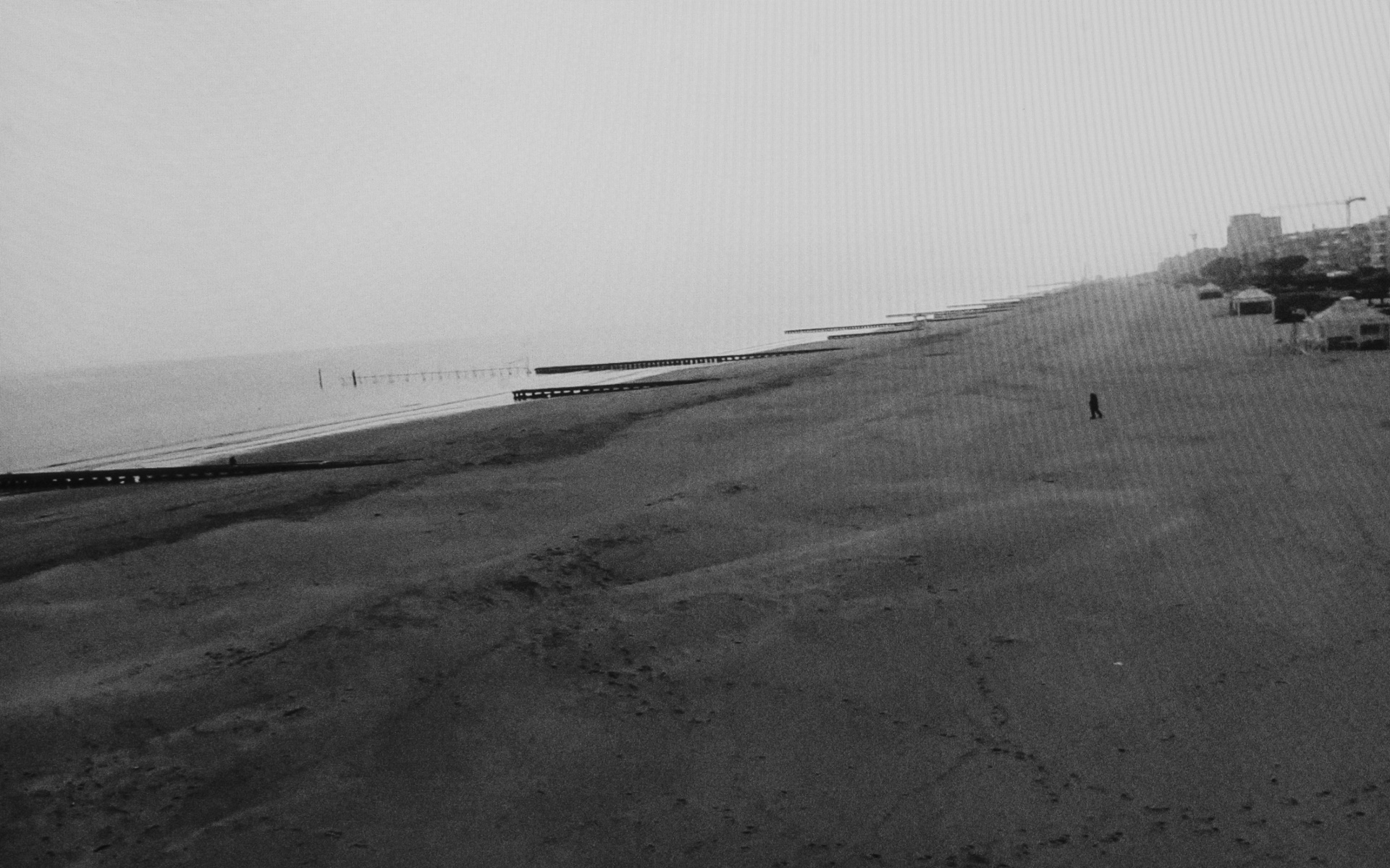 Jesolo, Beach - A man crossing the empty beach. Jesolo, Venice province, March 29. 2020.